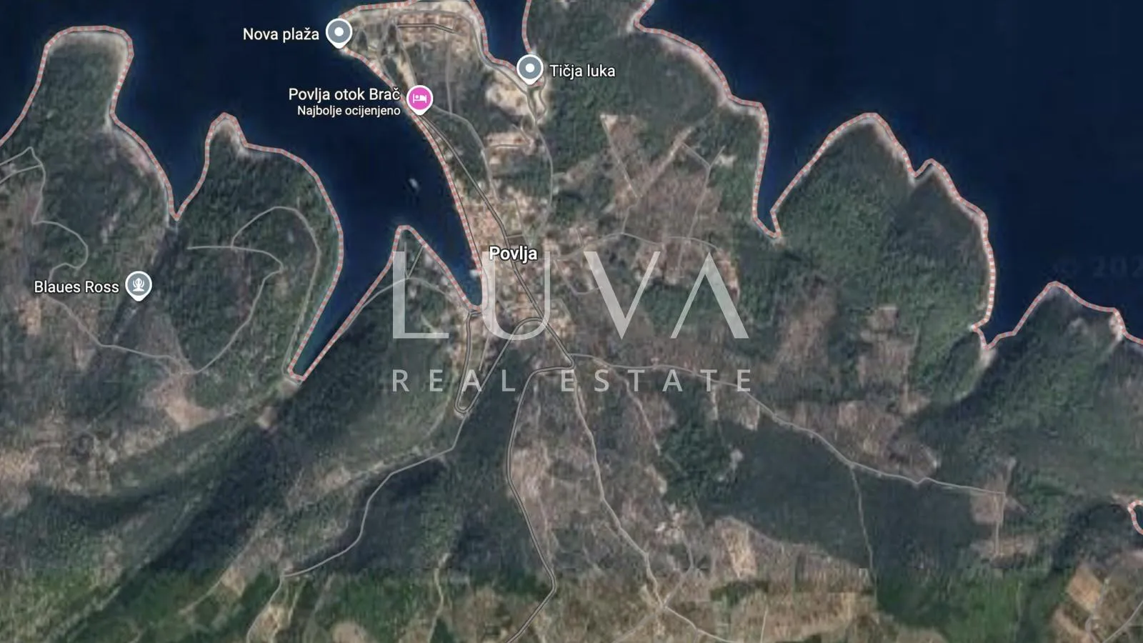 brač, povlja, zemljište s maslinikom i pogledom na more, 3839 m2 - slika 8