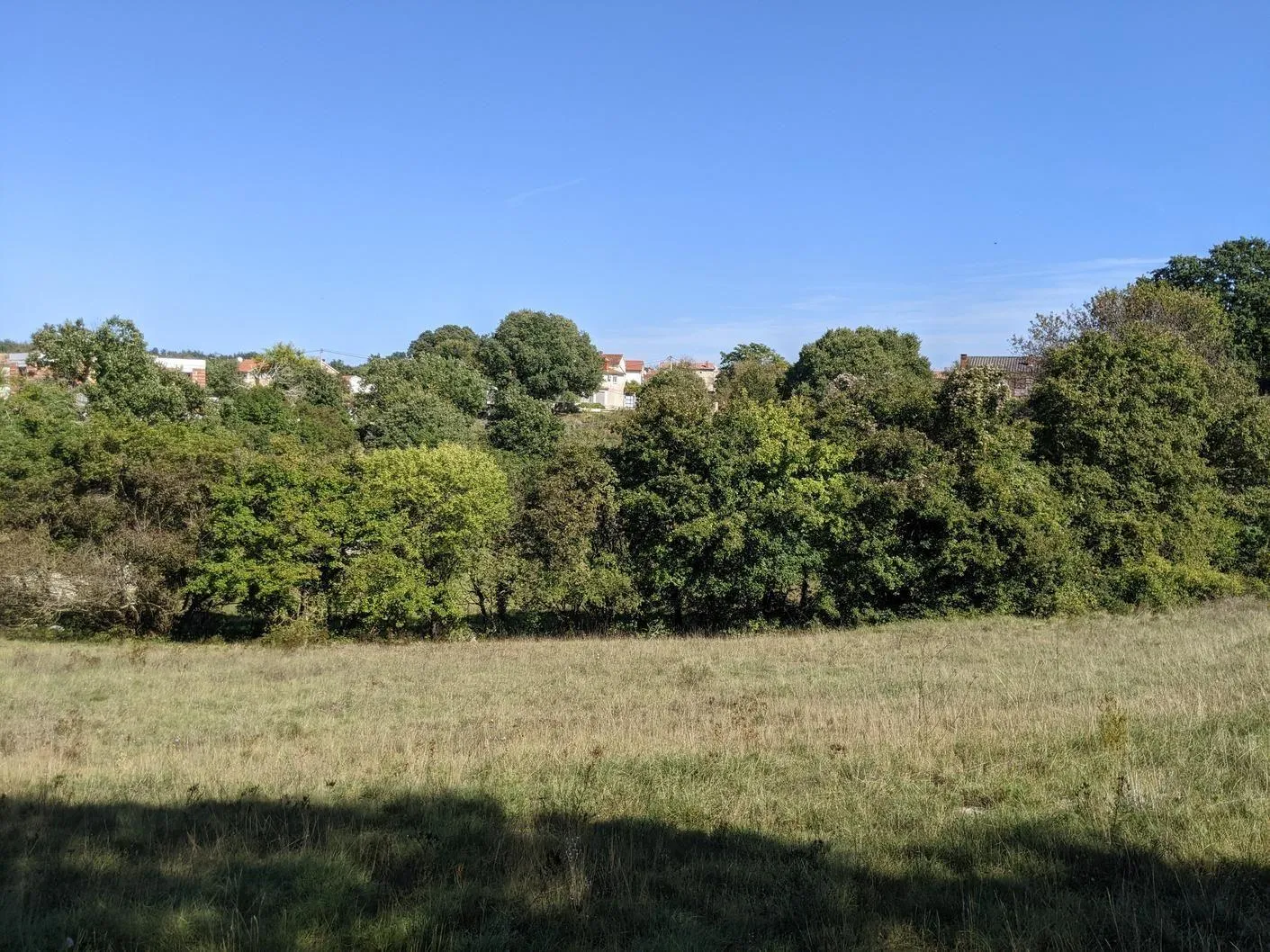 istra, svetvinčenat, kompleks građevinog i poljoprivrednog zemljišta - slika 10
