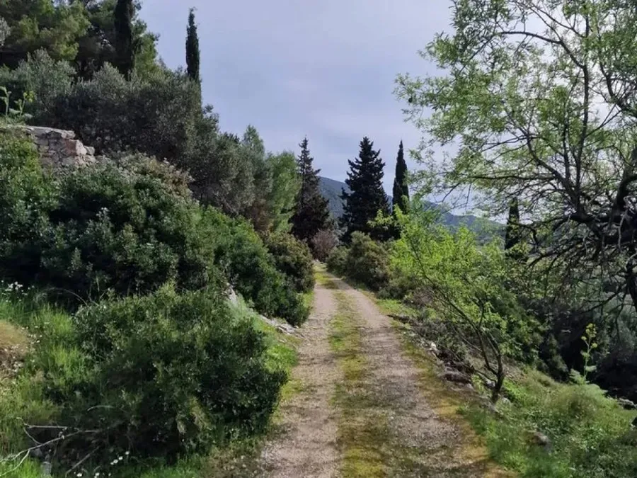 građevinsko zemljište na prodaju - korčula - slika 13