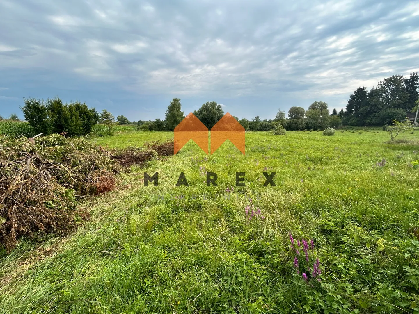 kuća 195m2+poslovna zgrada 340m2+drvena kuća 45m2 - slika 18