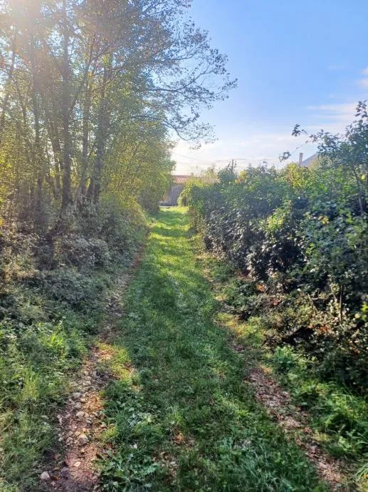 labin, ripenda kras- 4 km od rapca, 43000 m2 poljoprivredno zemljište - slika 3