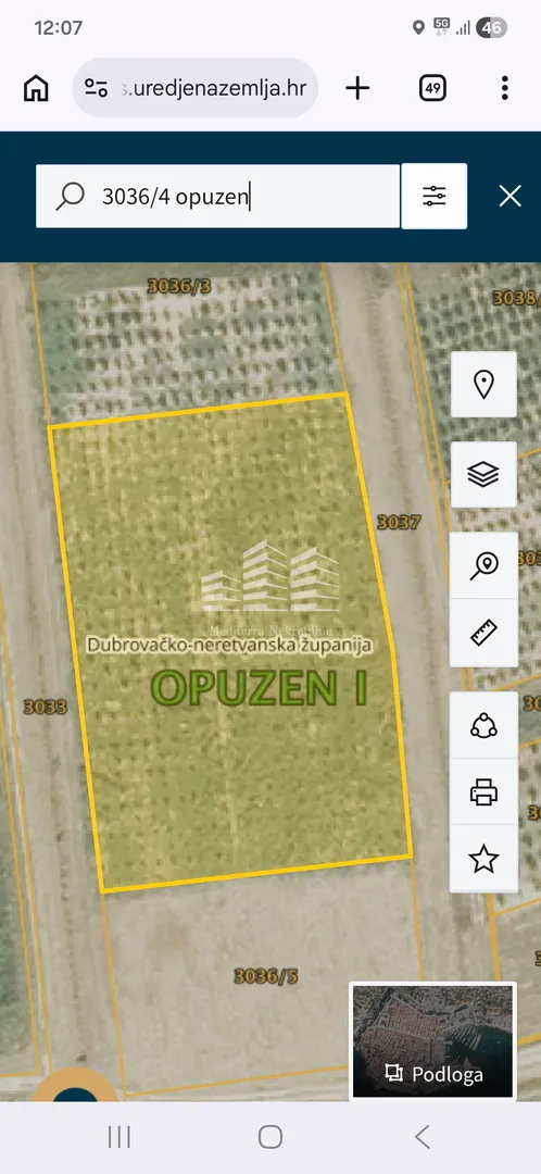 nasad limuna, 400 stabala na 5700m2 - slika 6