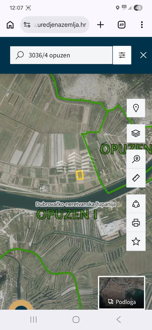 nasad limuna, 400 stabala na 5700m2 - slika 4