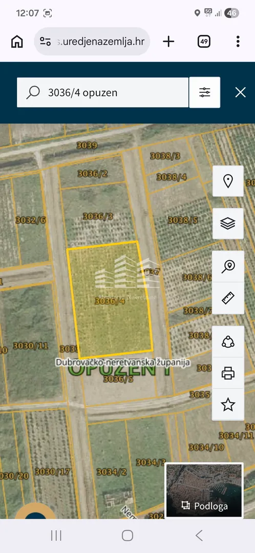 nasad limuna, 400 stabala na 5700m2 - slika 5