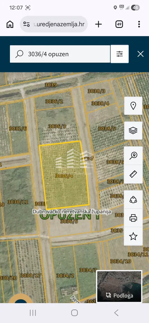 nasad limuna, 400 stabala na 5700m2 - slika 5