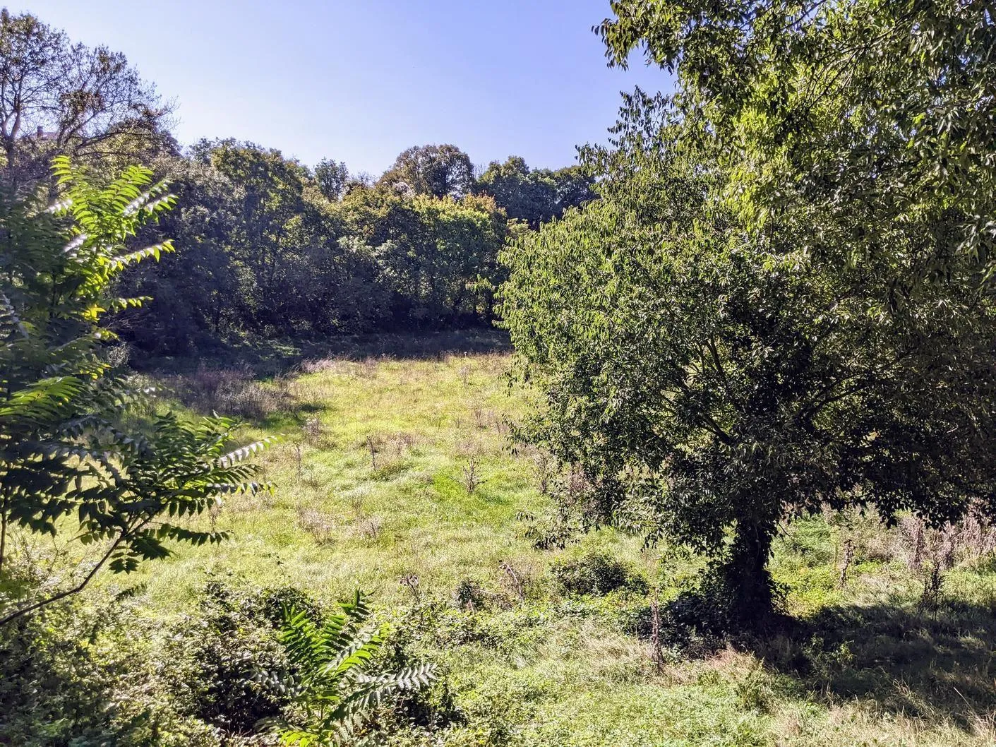 istra, svetvinčenat, kompleks građevinog i poljoprivrednog zemljišta - slika 9