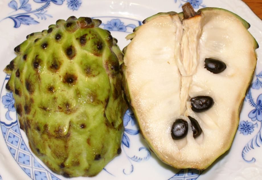 Mini Graviola(Atemoya)