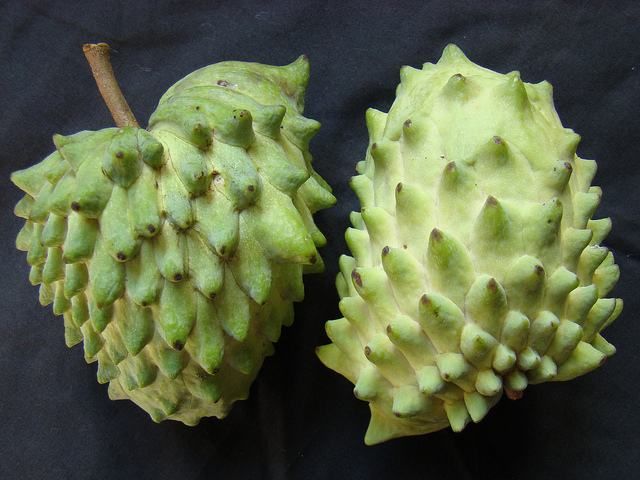 mini graviola(atemoya) - slika 2