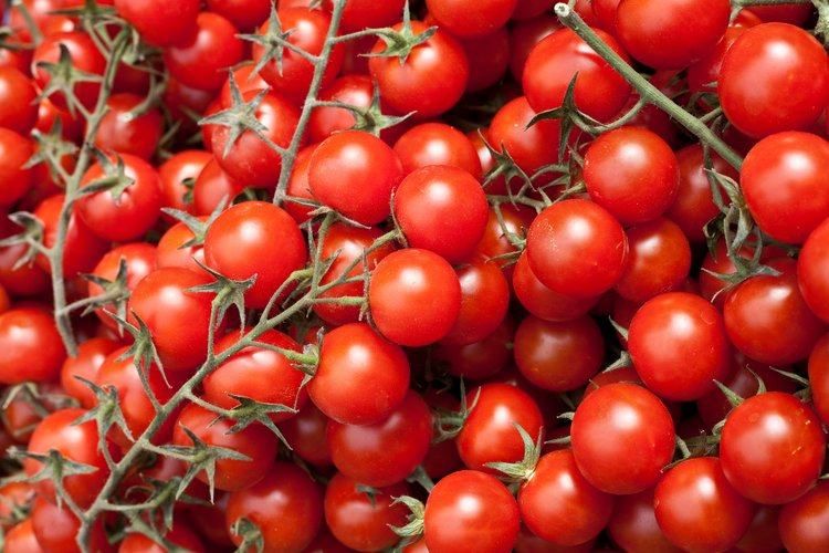 Mini rajčica (cherry)