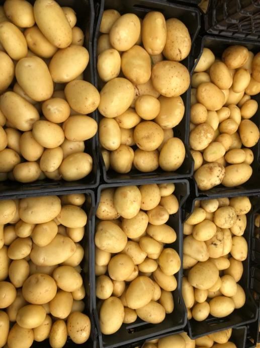 Mladi krumpir 0.93e /kg