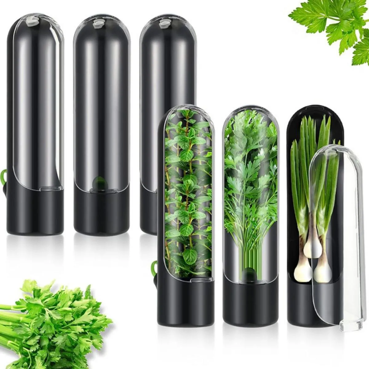 spremnik za čuvanje bilja - herbary - slika 3
