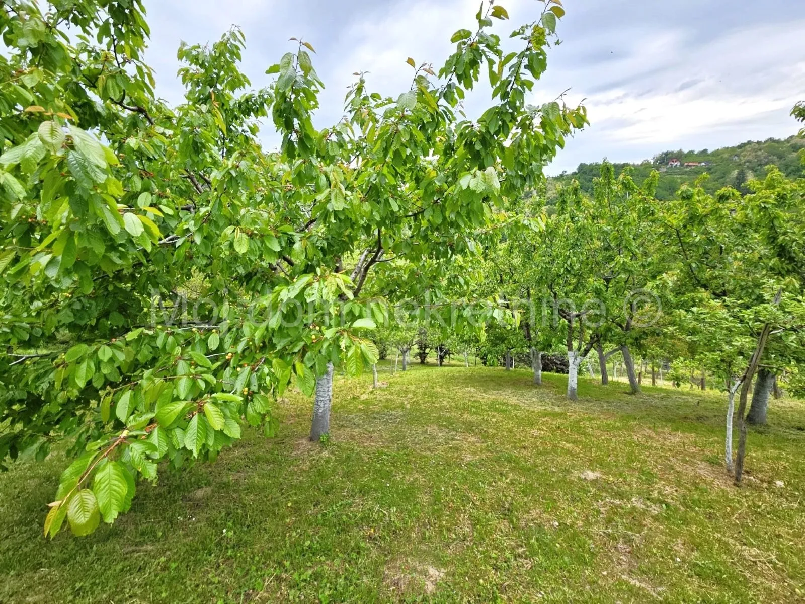 vugrovec, samostojeća kuća, 236.98m2, okućnica 2746m2 - slika 14