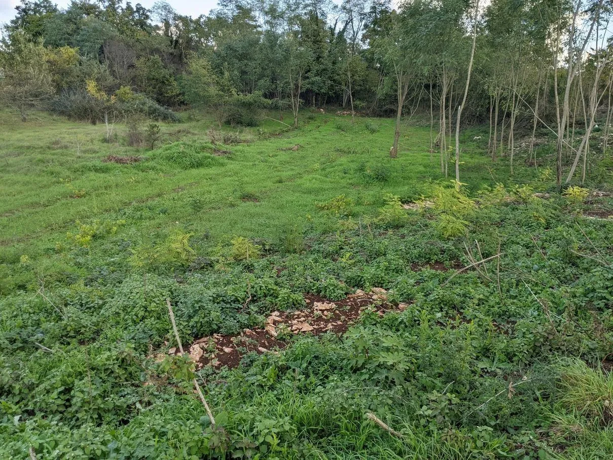 istra labin, građevinsko zemljište 1586 m2 - slika 2