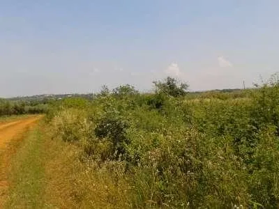 zemljište prodaja vabriga 12864 m2 - slika 3