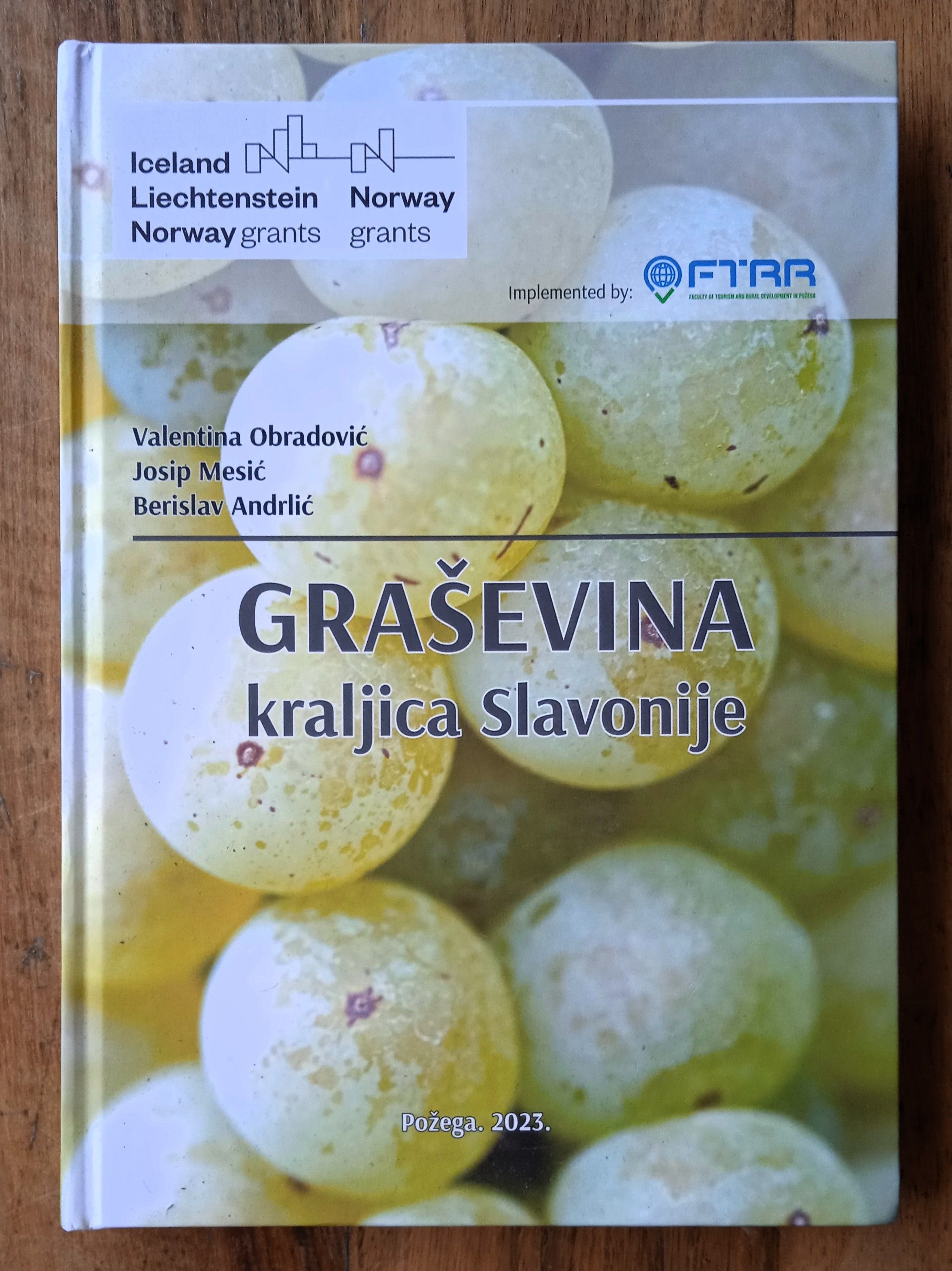 GRAŠEVINA kraljica Slavonije Valentina Obradović Mesić Andrlić - Sisak