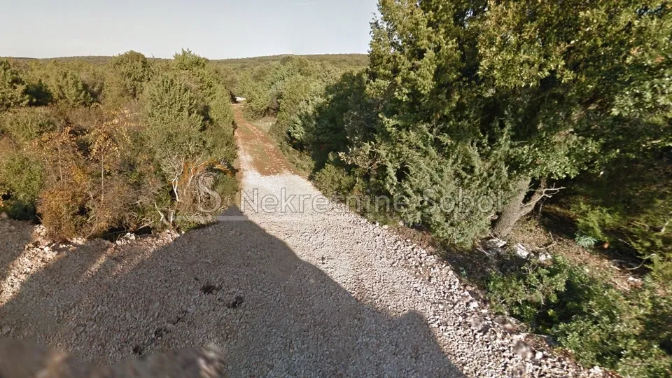 Punta Križa, Otok Cres - Šuma, 39799 m2 Prodaja - Punta Križa, Mali Lošinj