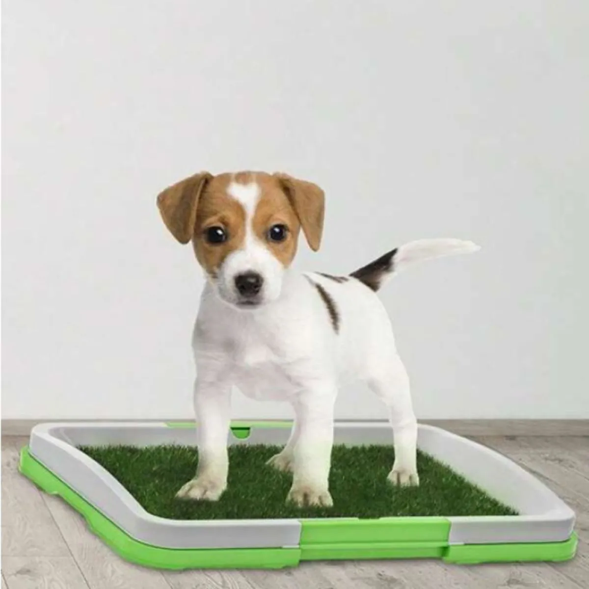 wc ili toalet za pse green trainer - slika 6