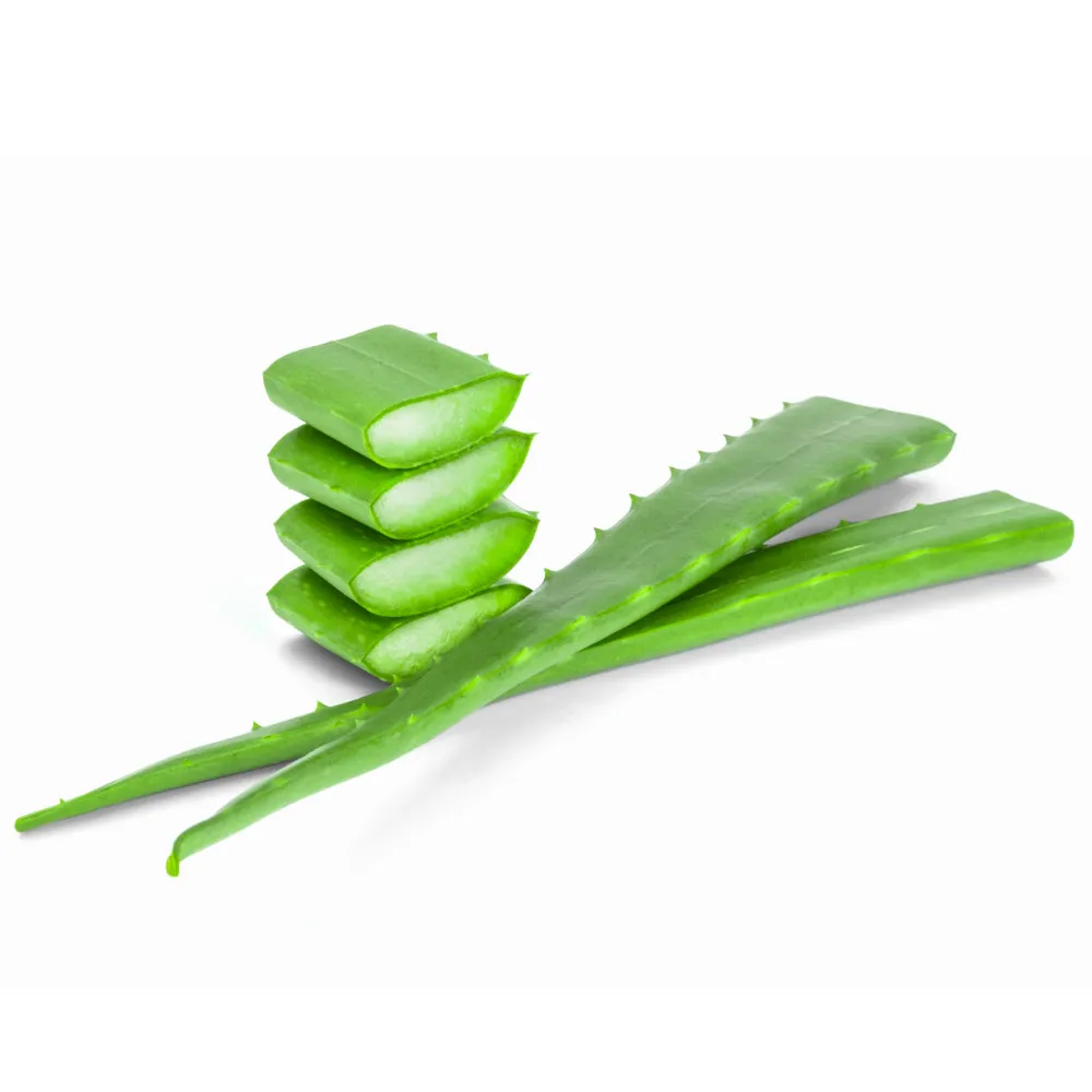 aloe vera esi® sok od lista prave aloje i plodova borovnice 1l - slika 2