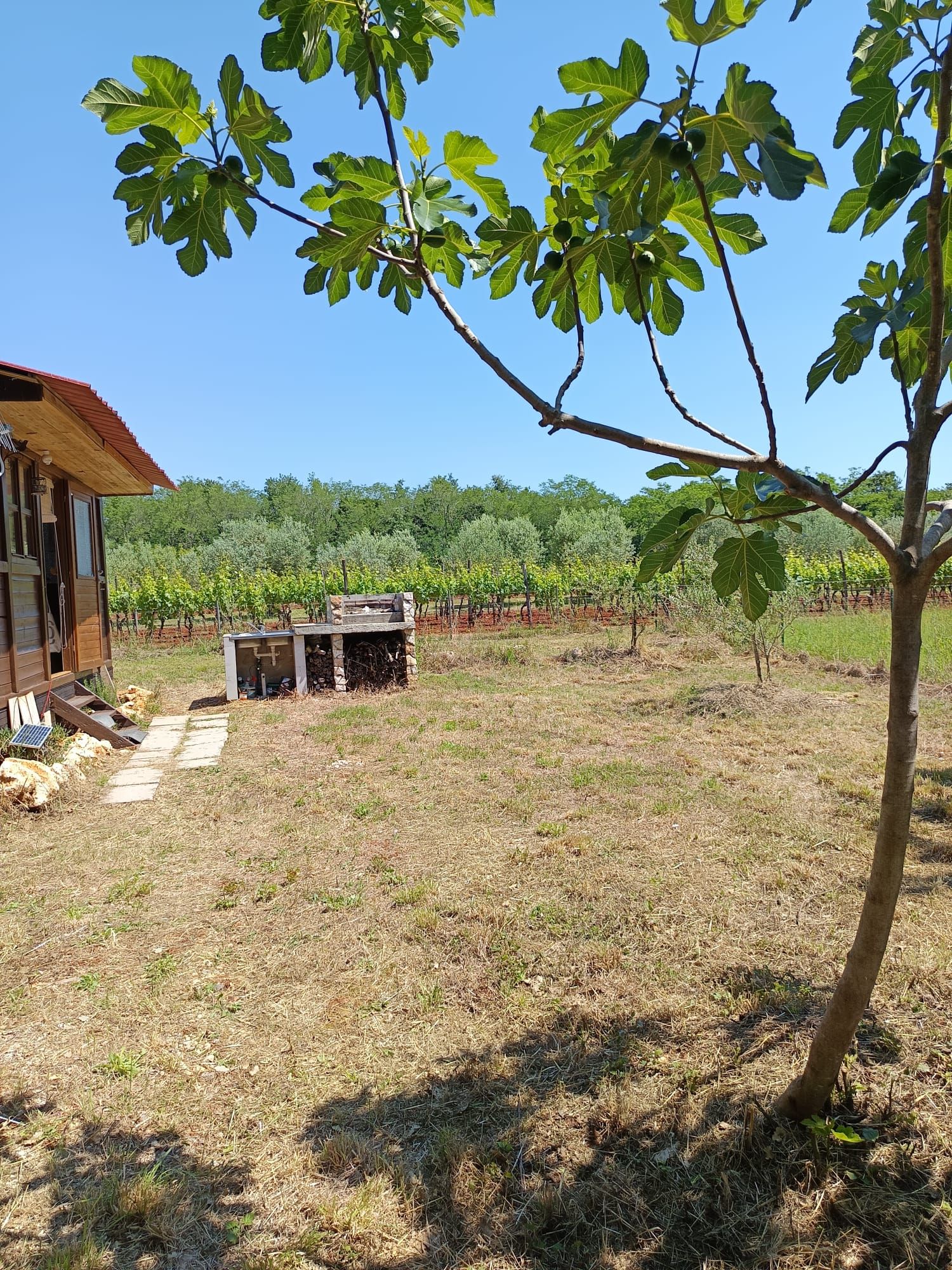 zemljište od 358m2 sa montažnom kućicom 32m2 u marčani, blizu pule - slika 8