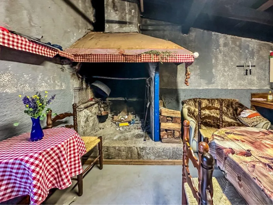 istra-malo selo s nagrađivanim vinom i maslinovim uljem (prodaja) - slika 14