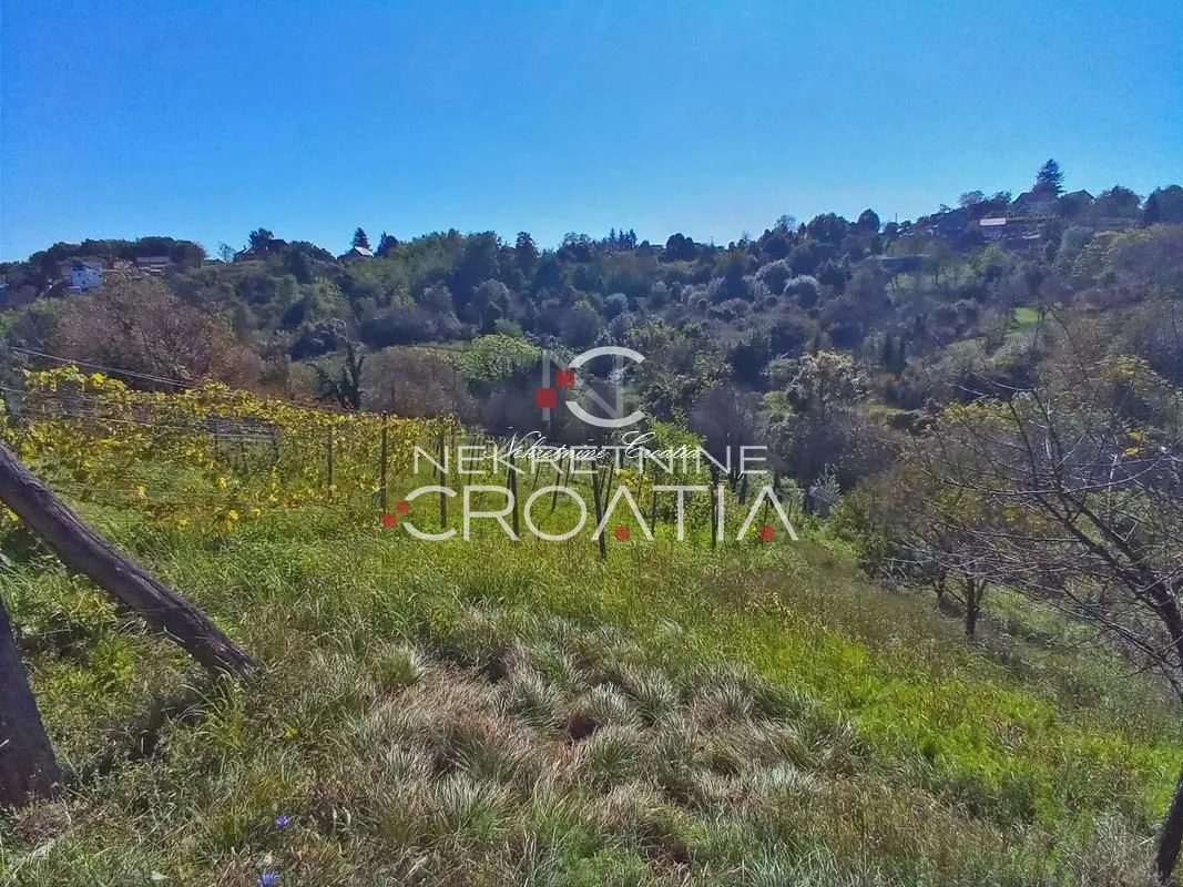 vrtlinovec, vinograd i voćnjak - slika 4