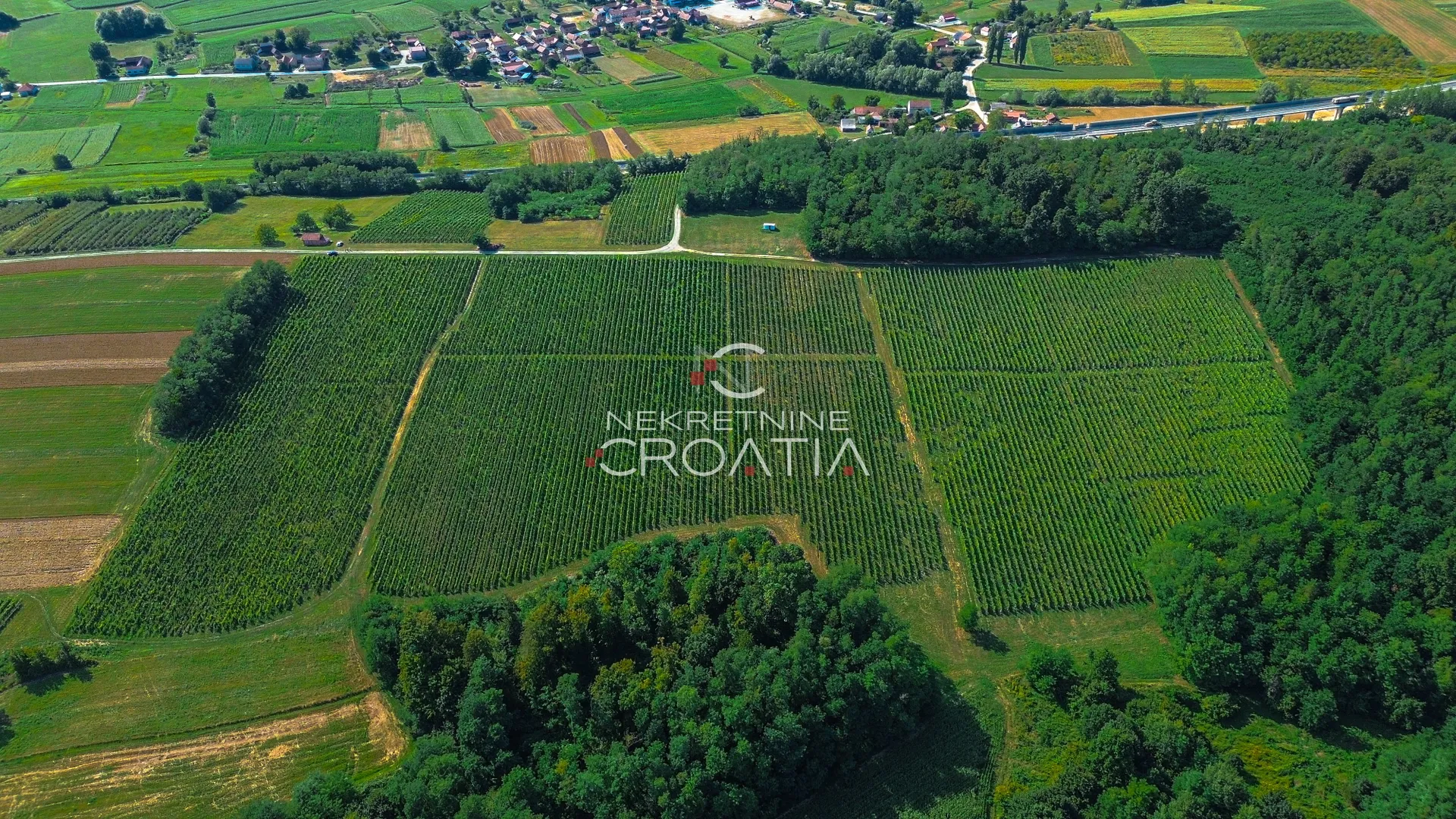 prilika! 105.333 m2 vinograda, 4.75 eur/m2! - slika 9
