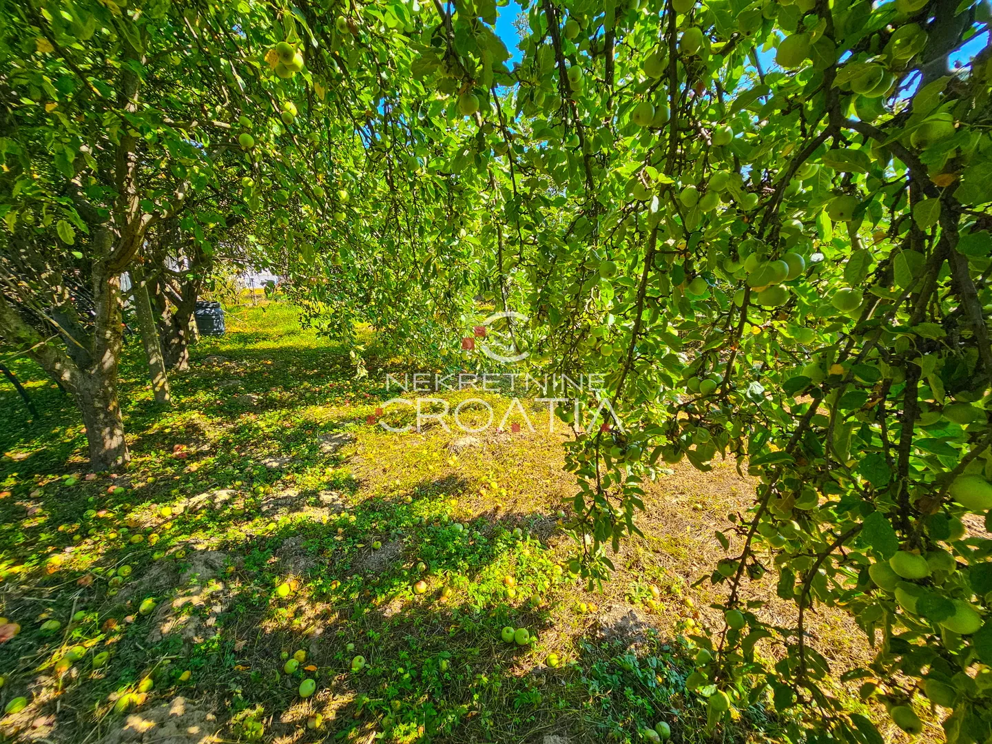 varaždin: kuća i zemljište 738 m² – zona s4 (do 4 stana) - slika 10
