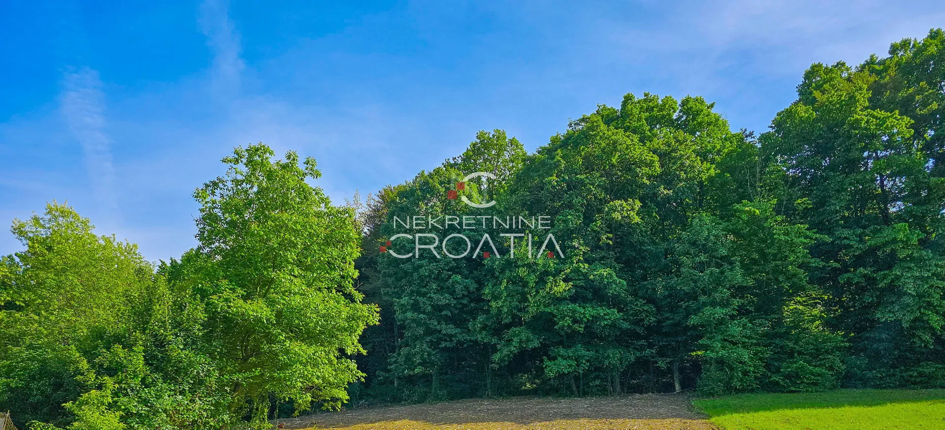 Šuma, Beretinec