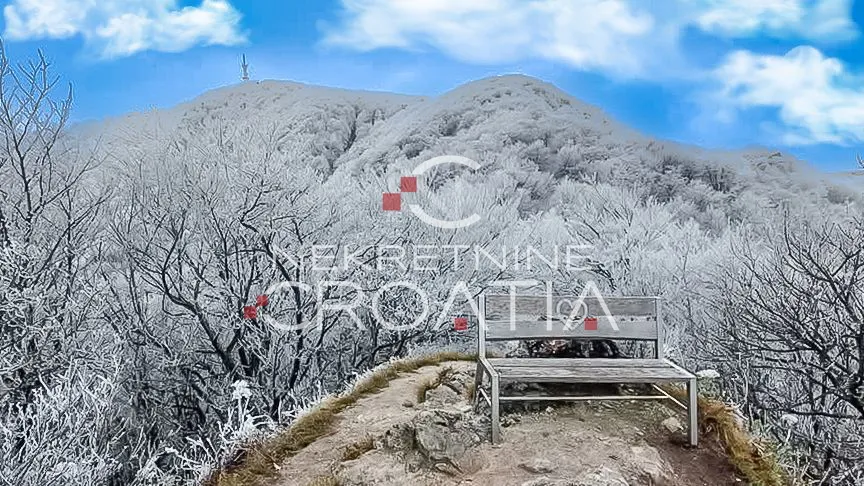 šuma 11.142 m2, ivanščica! - slika 3