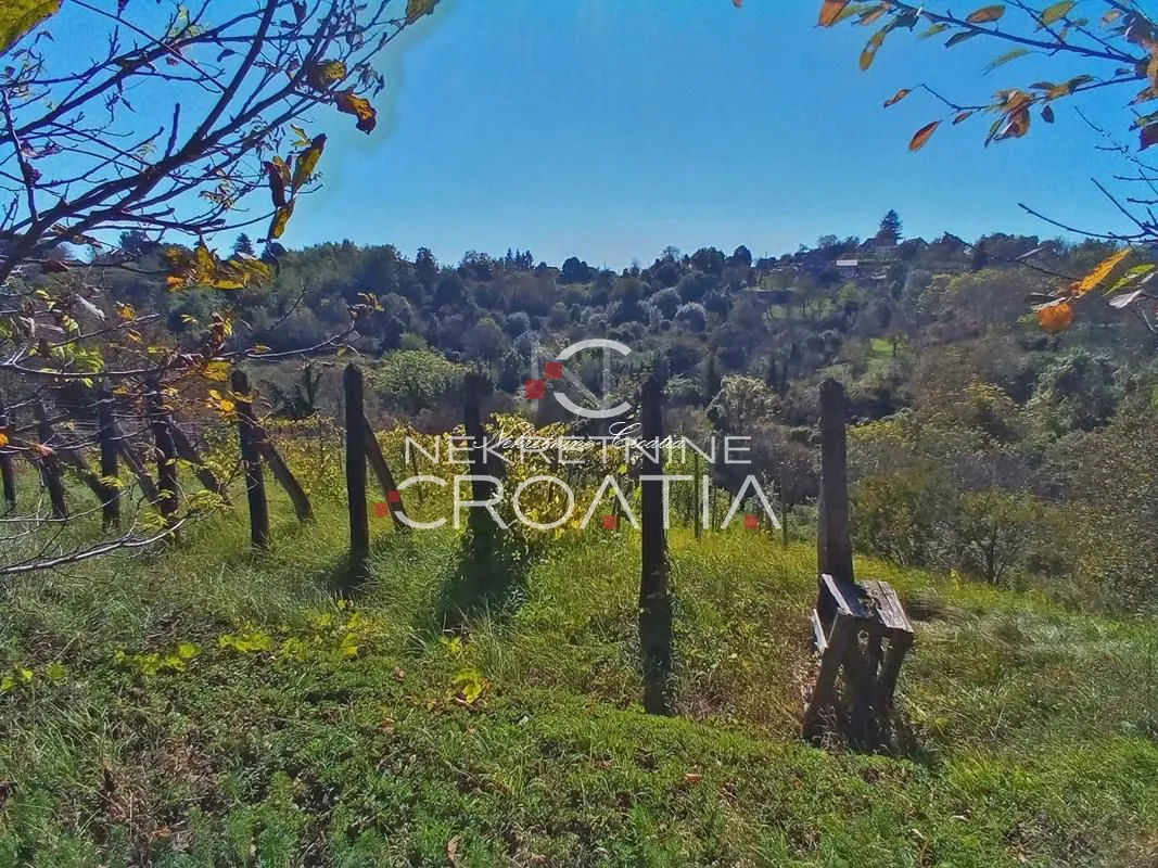 vrtlinovec, vinograd i voćnjak - slika 8