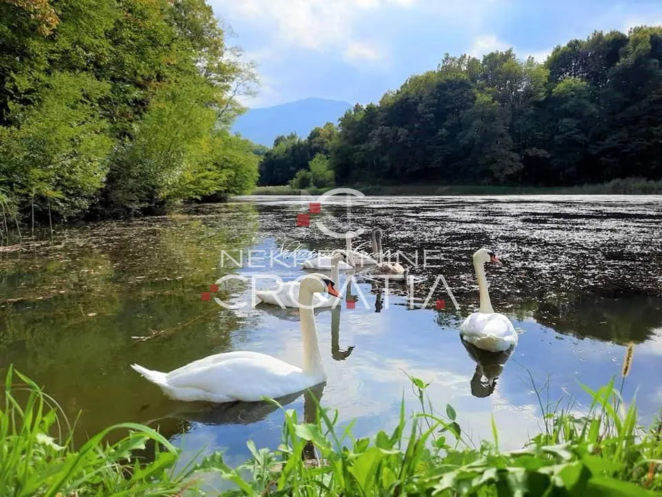 ivanec, jezera - slika 14