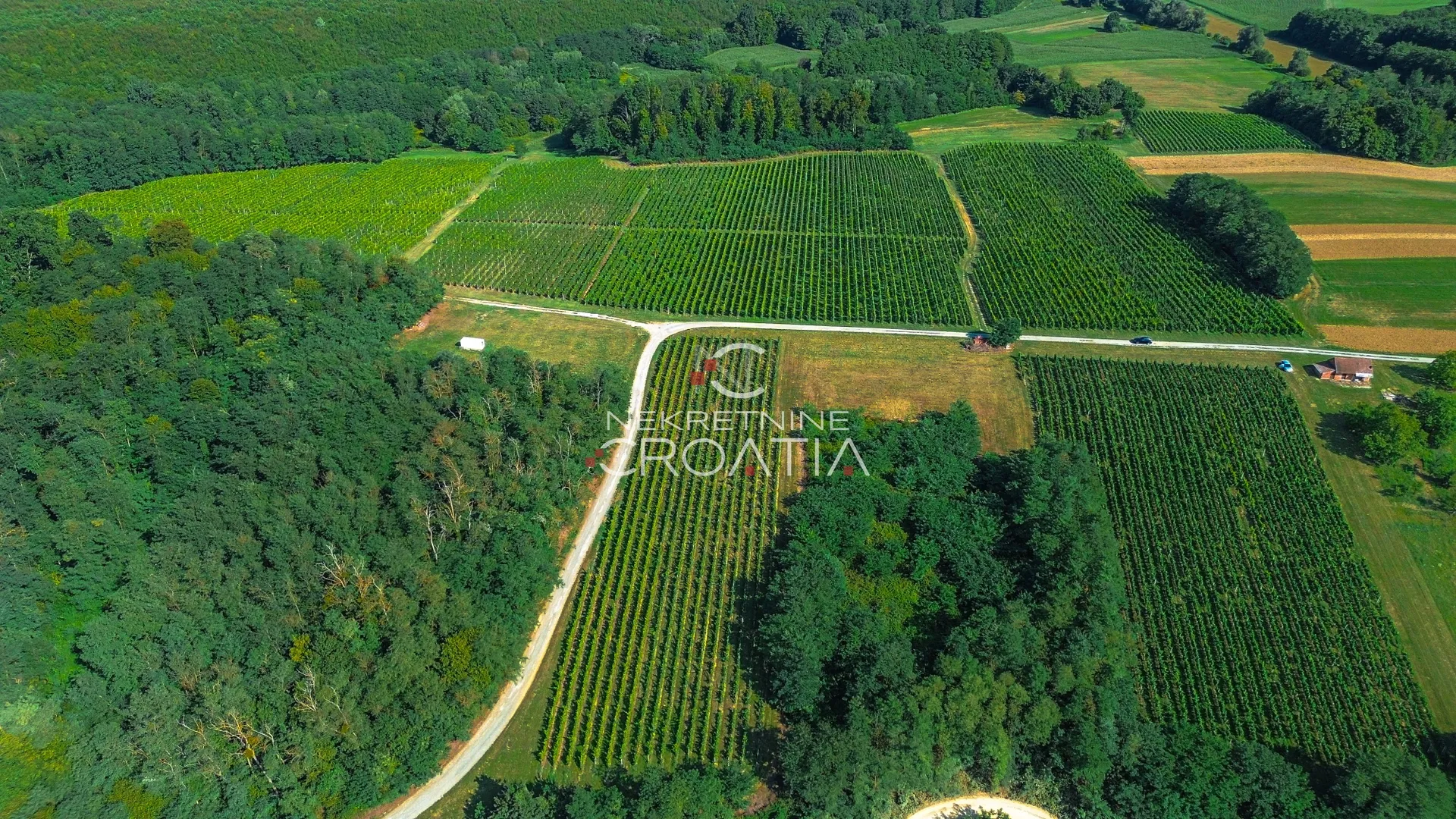 prilika! 105.333 m2 vinograda, 4.75 eur/m2! - slika 8