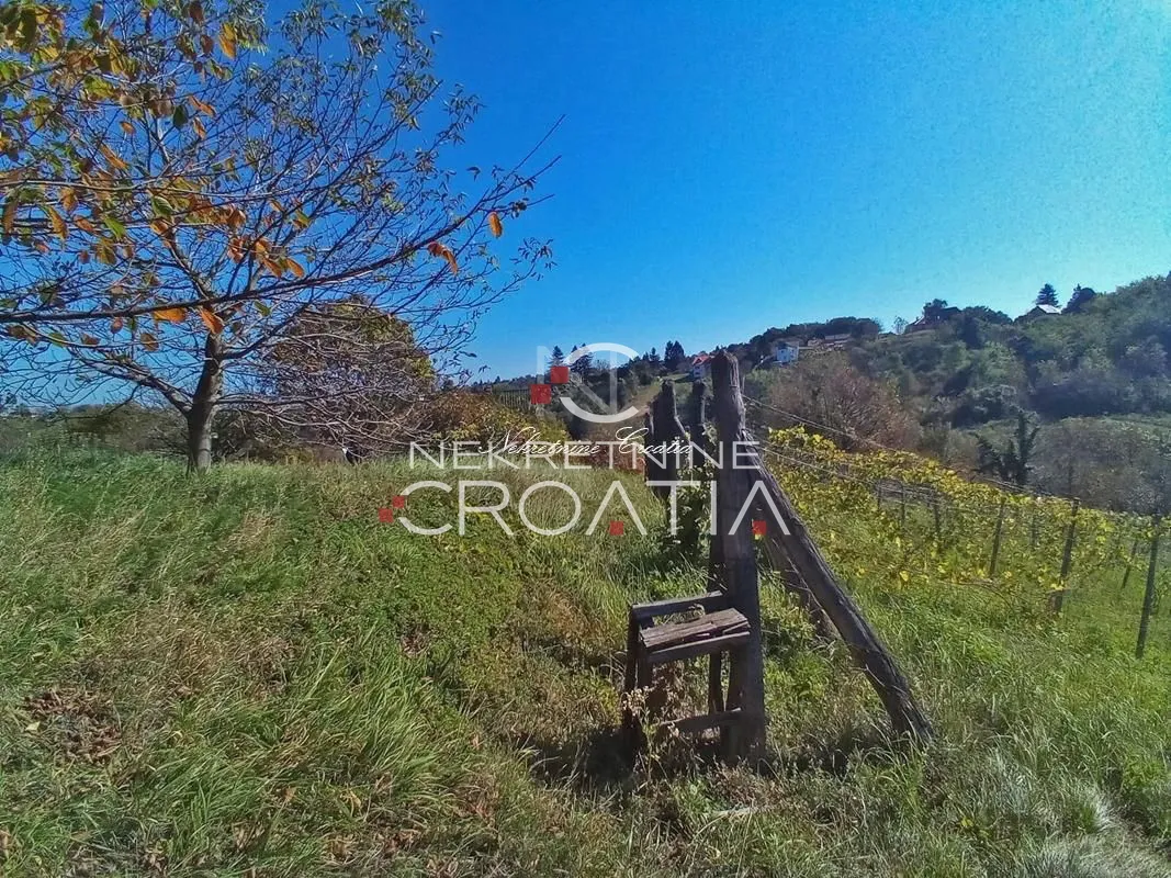 vrtlinovec, vinograd i voćnjak - slika 9