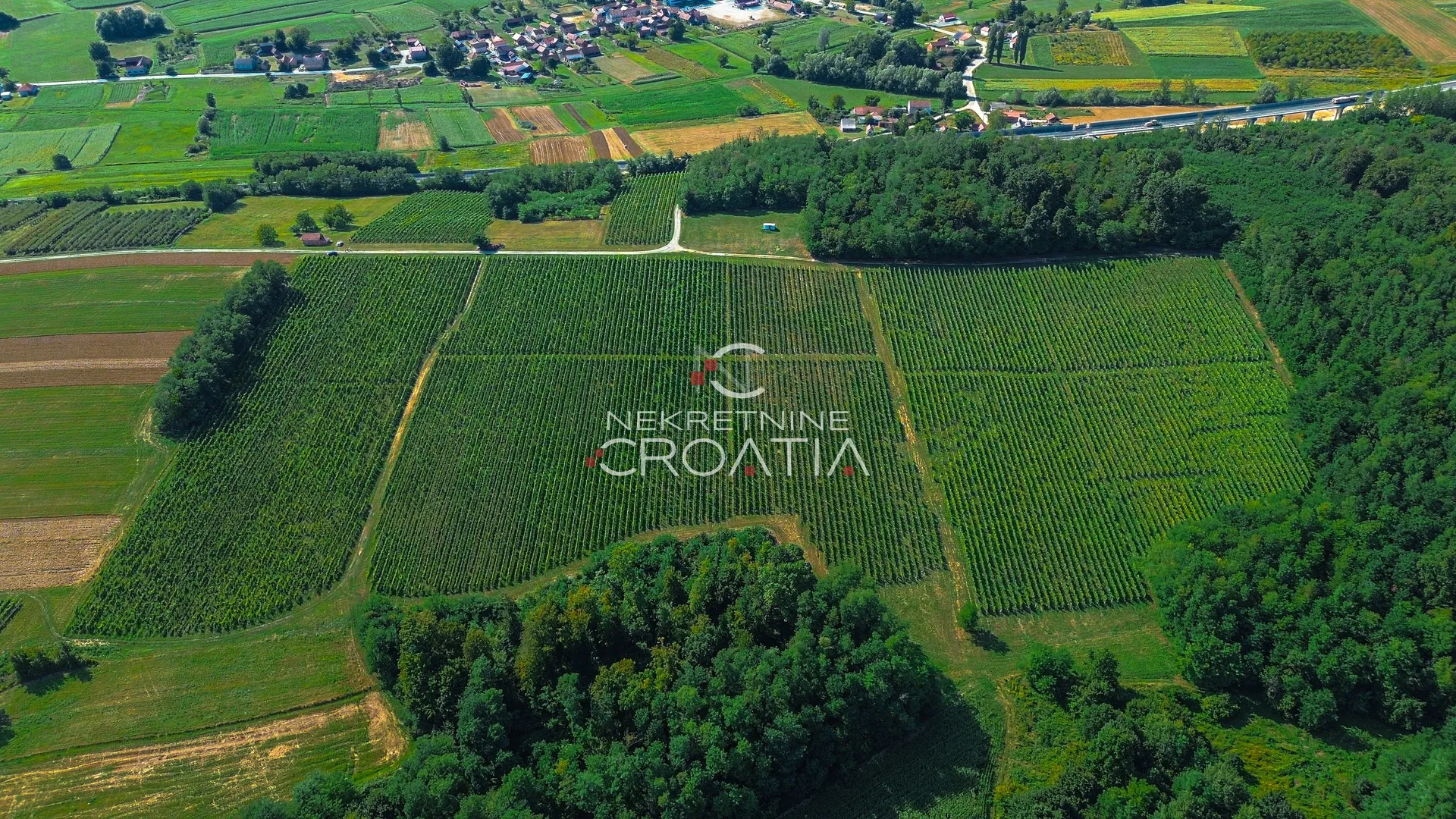 prilika! 105.333 m2 vinograda, 4.75 eur/m2! - slika 9