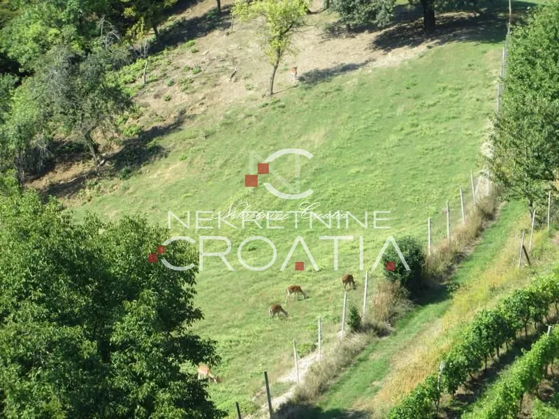 razne poslovne mogućnosti!!! - slika 7