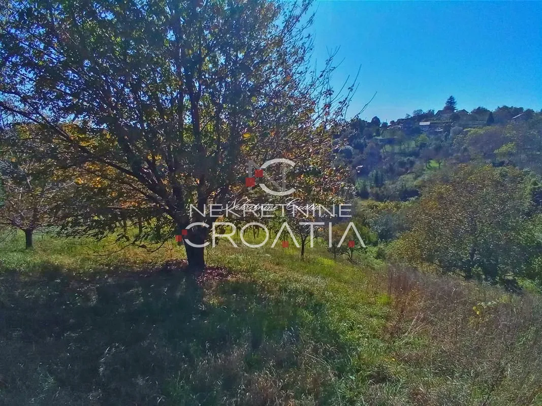 vrtlinovec, vinograd i voćnjak - slika 7