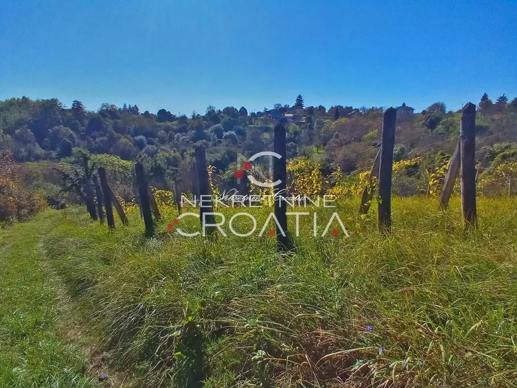 vrtlinovec, vinograd i voćnjak - slika 2