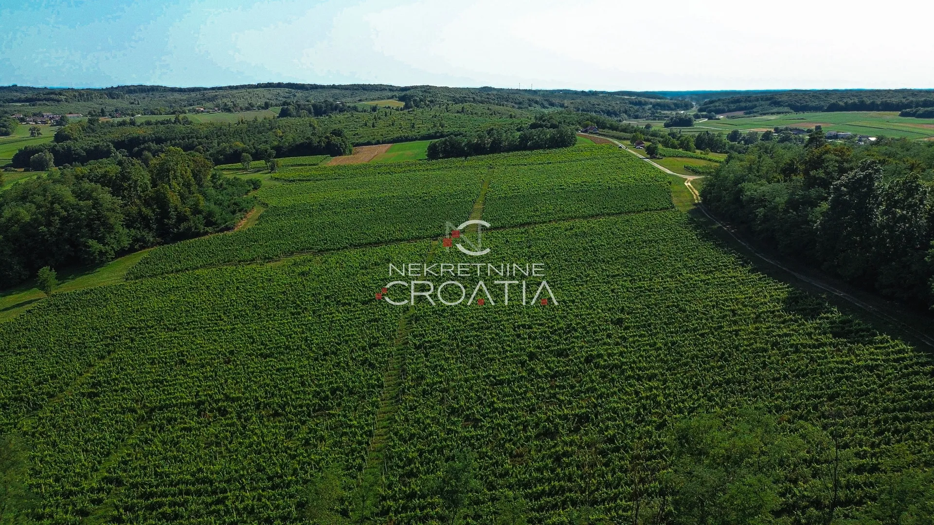 prilika! 105.333 m2 vinograda, 4.75 eur/m2! - slika 5