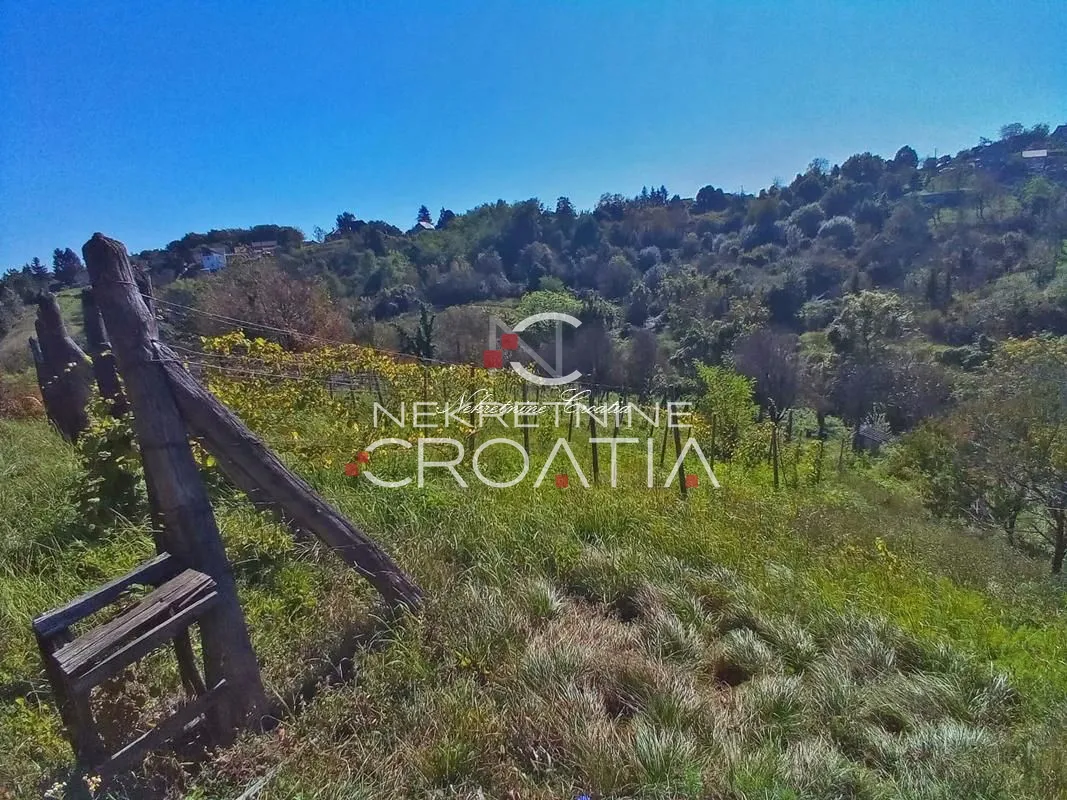 vrtlinovec, vinograd i voćnjak - slika 5