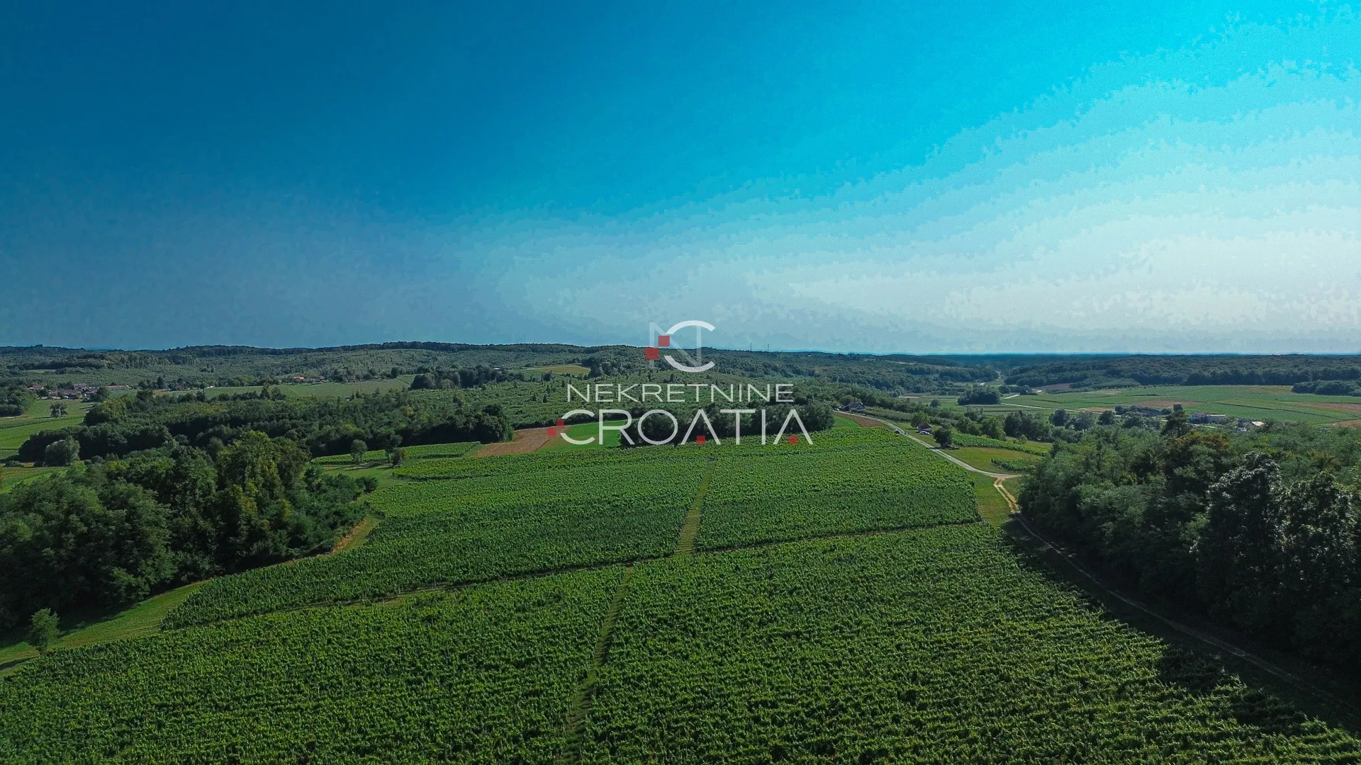 prilika! 105.333 m2 vinograda, 4.75 eur/m2! - slika 16