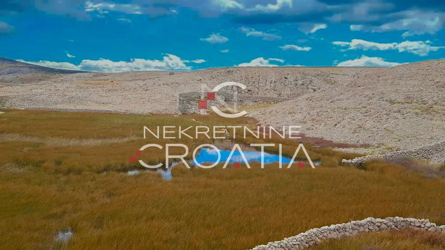 zrće, uz plažu, 134.000 m2 sa izvorom vode !!! - slika 6