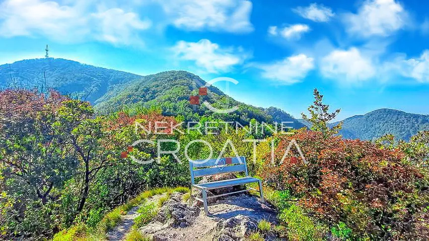 ŠUMA 11.142 m2, IVANŠČICA! - Prigorec, Ivanec