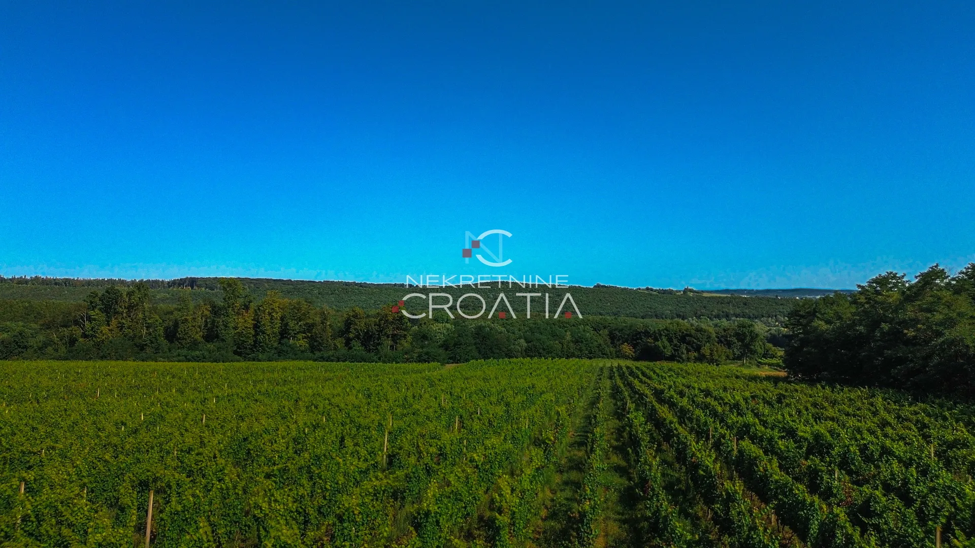 prilika! 105.333 m2 vinograda, 4.75 eur/m2! - slika 15