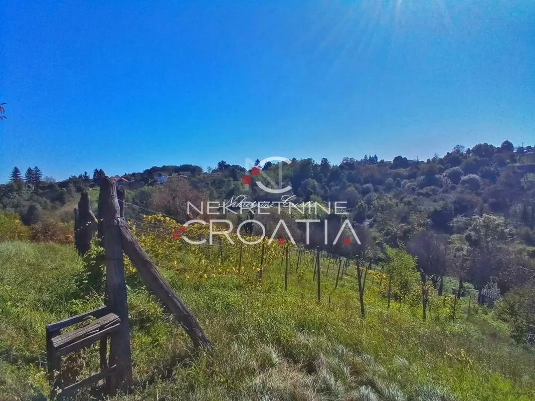 vrtlinovec, vinograd i voćnjak - slika 10