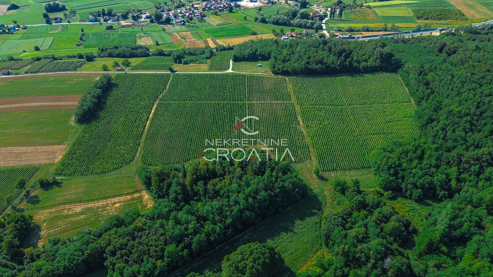 prilika! 105.333 m2 vinograda, 4.75 eur/m2! - slika 17