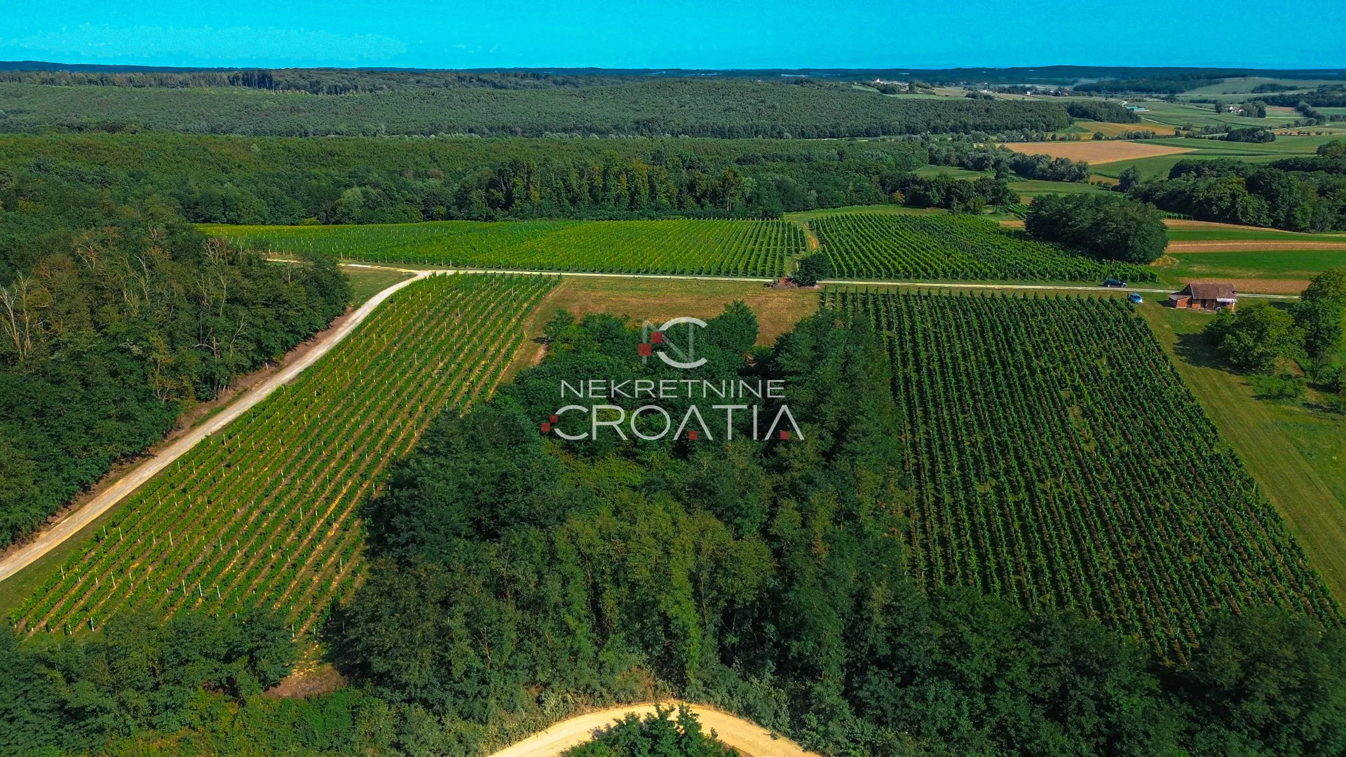 prilika! 105.333 m2 vinograda, 4.75 eur/m2! - slika 14