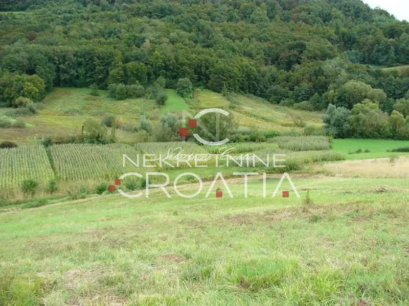 cvetlin, građevinsko sa dva prilaza - slika 10