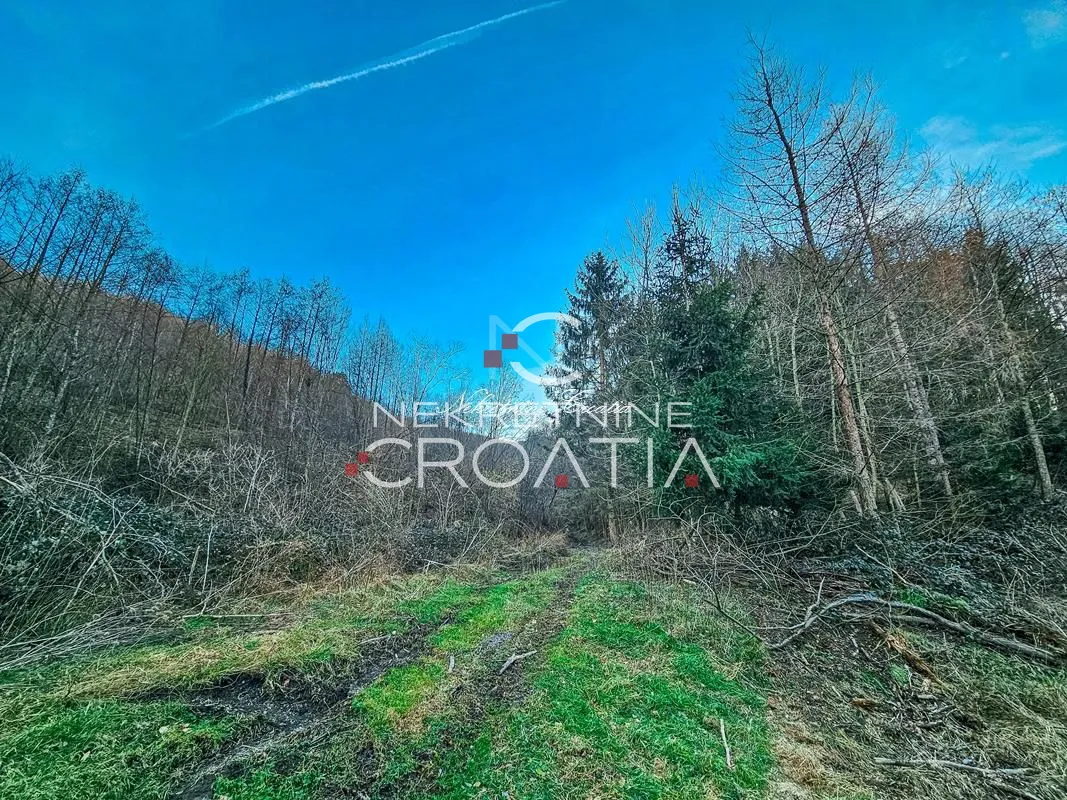 podnožje ivanščice! sa izvorom vode!!! - slika 5