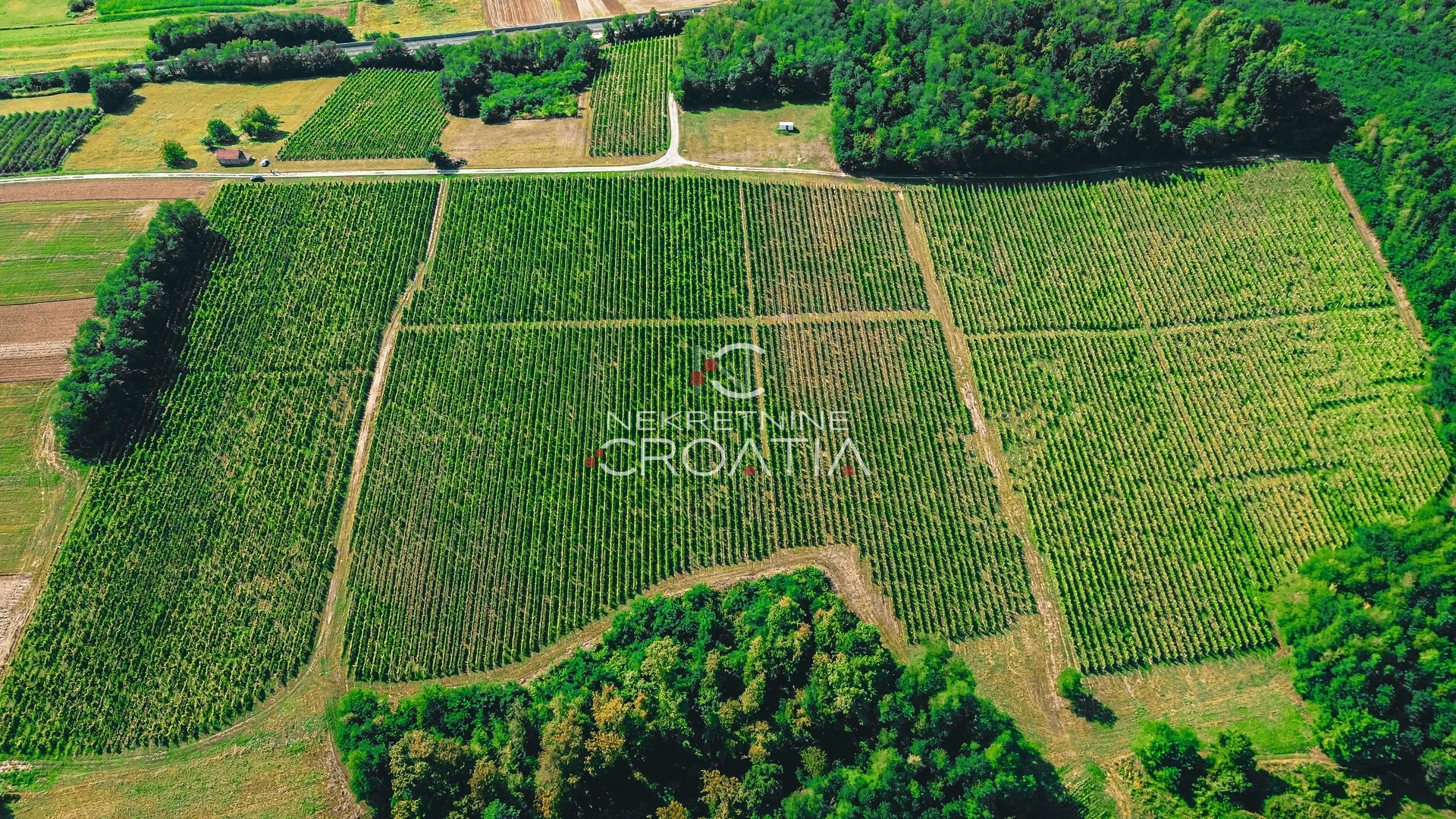 PRILIKA! 105.333 m2 VINOGRADA, 4.75 EUR/m2! - Carevdar, Križevci