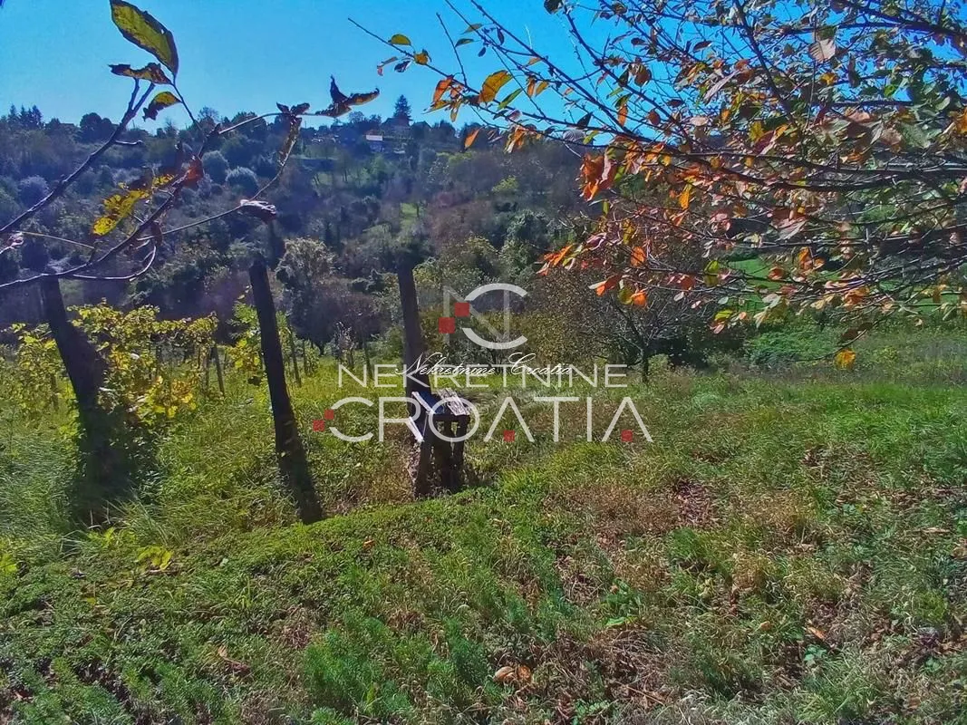 vrtlinovec, vinograd i voćnjak - slika 6